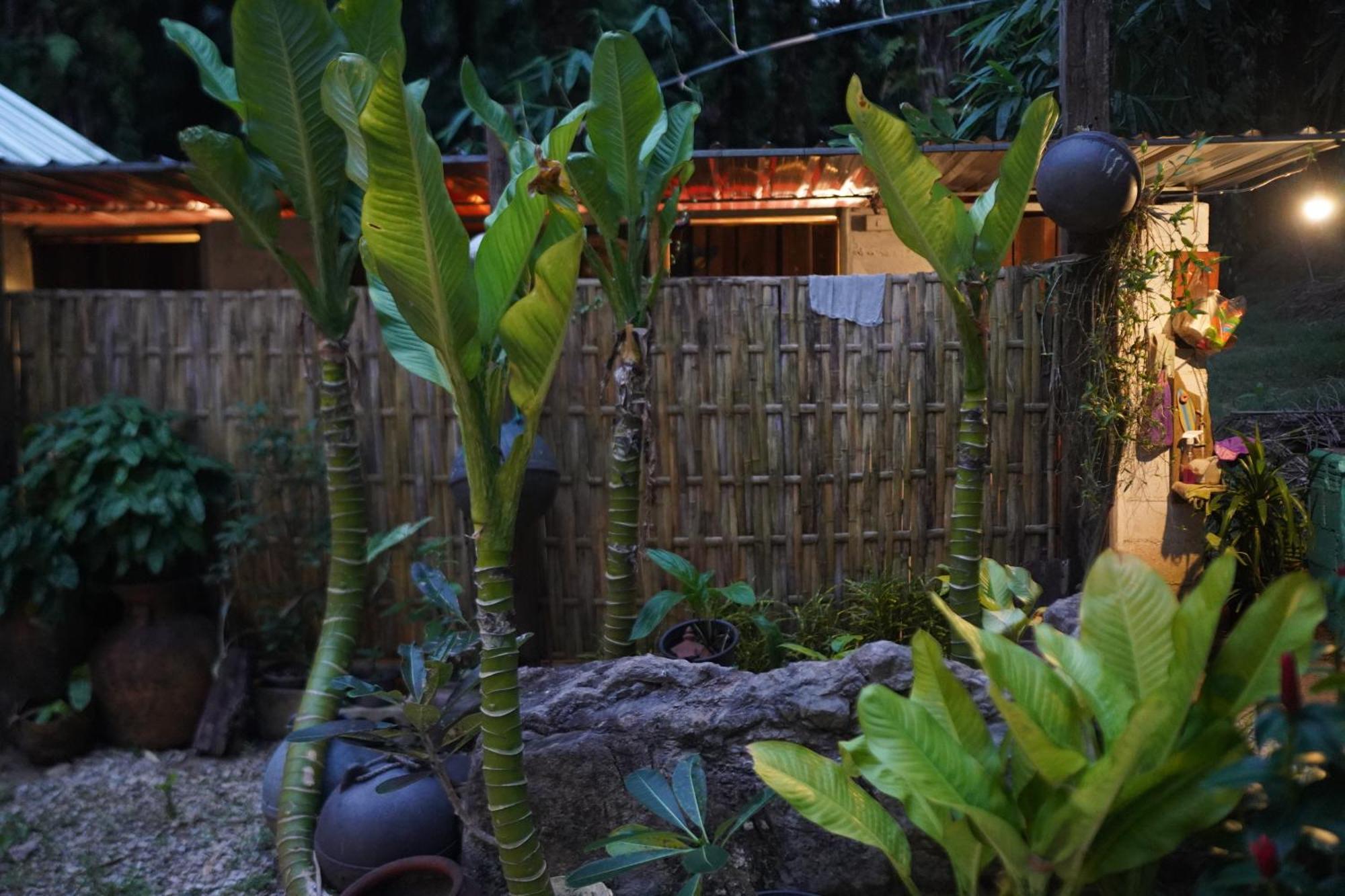 Krabi Bamboo Kingdom At Aoluek Paradise Ao Luk エクステリア 写真